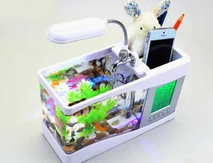Mini Table Aquarium