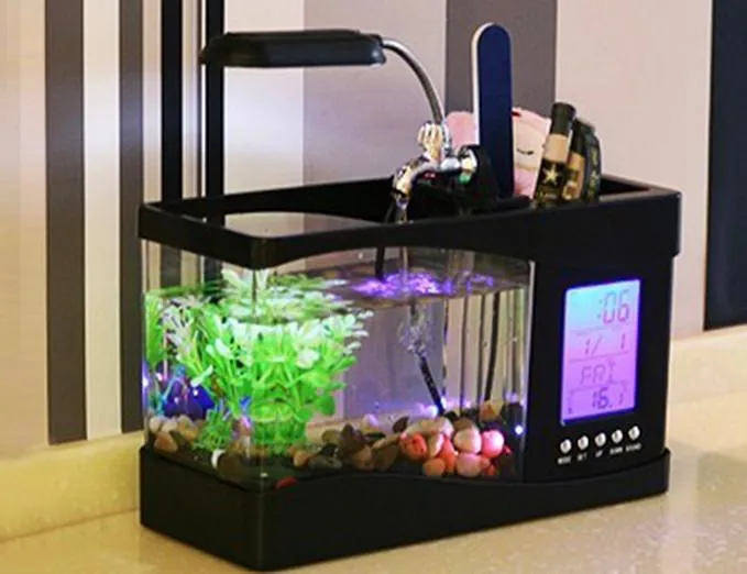 Mini Table Aquarium