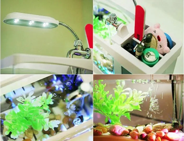 Mini Table Aquarium