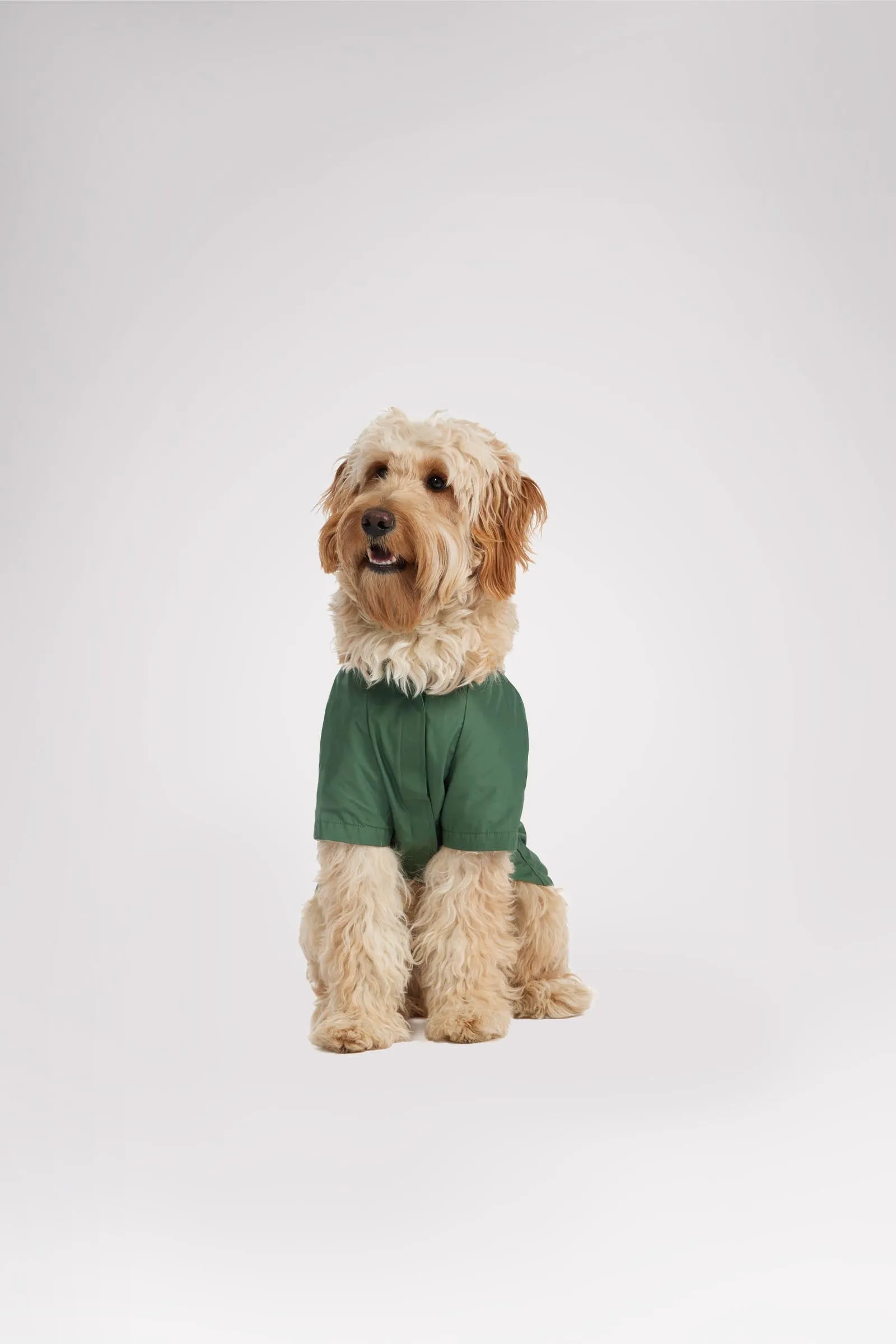 Neo reflective Rain Jacket for Dogs