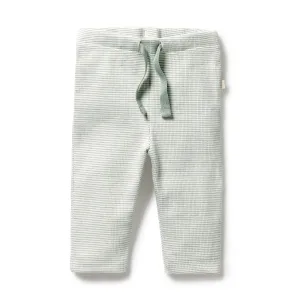 Wilson and Finch Organic Stripe Rib Legging